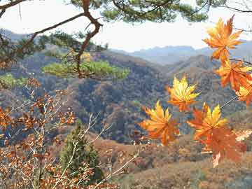 医院购买打胎药流程打胎药私人（打胎药私人店）